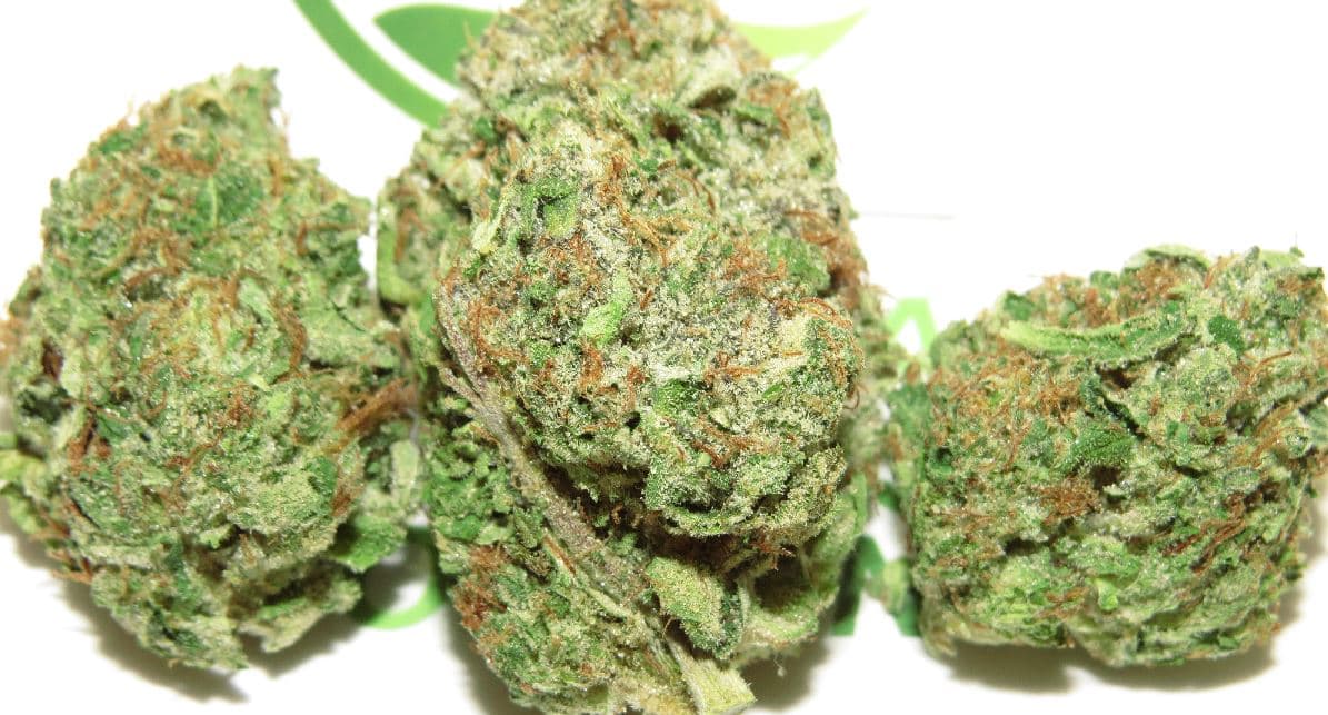 DeathBerg Kush marijuana flower
