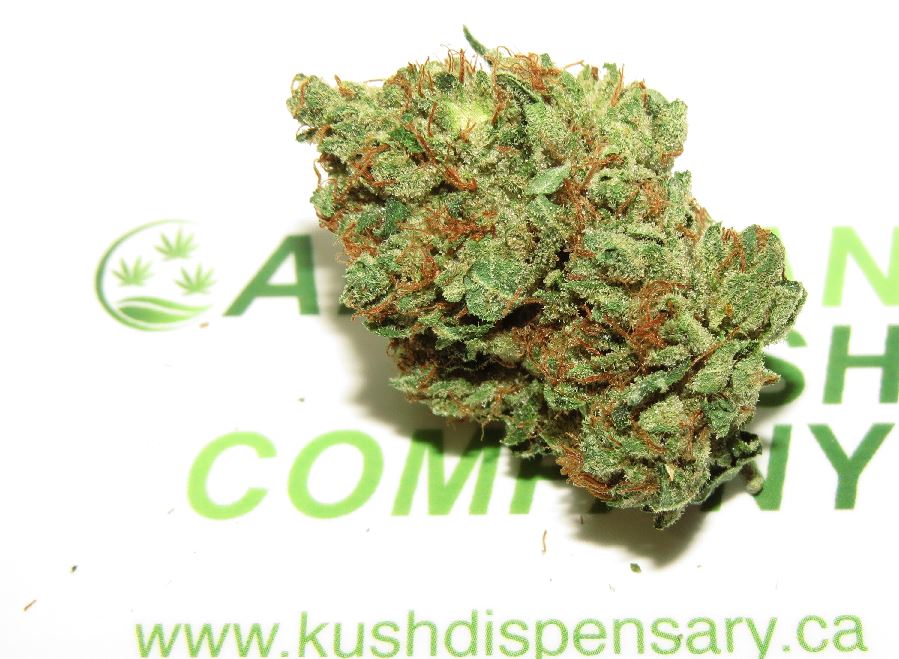 Ultra Connoisseur Mk Kush Marijuana Flower